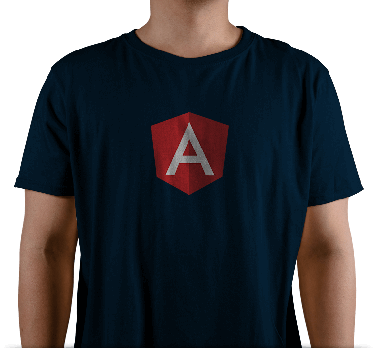 Why Hire AngularJs Developer from FasTrax Infotech?