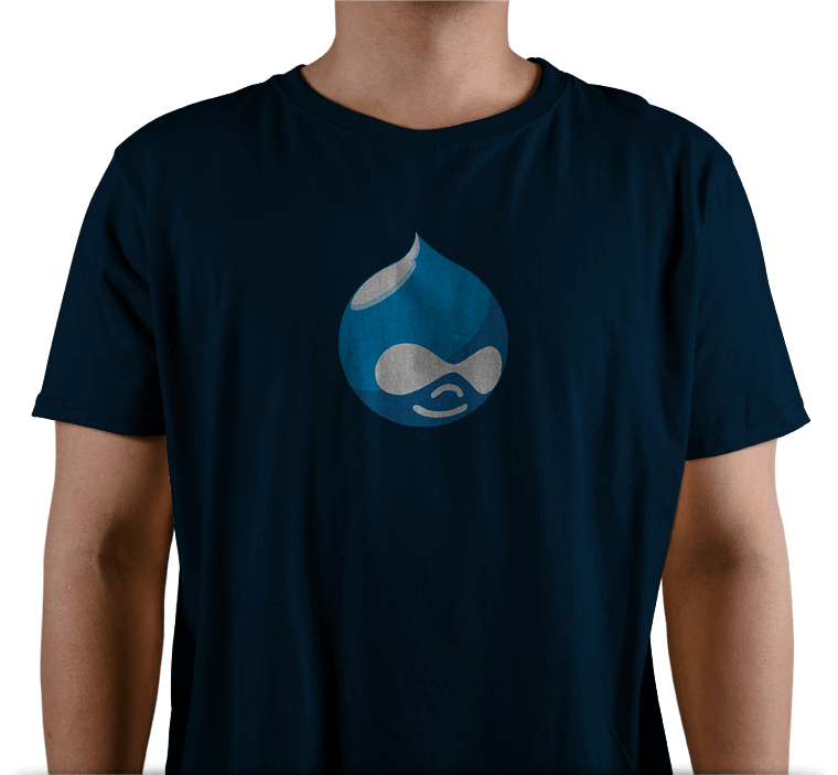 Why Hire Drupal Developers from FasTrax Infotech?