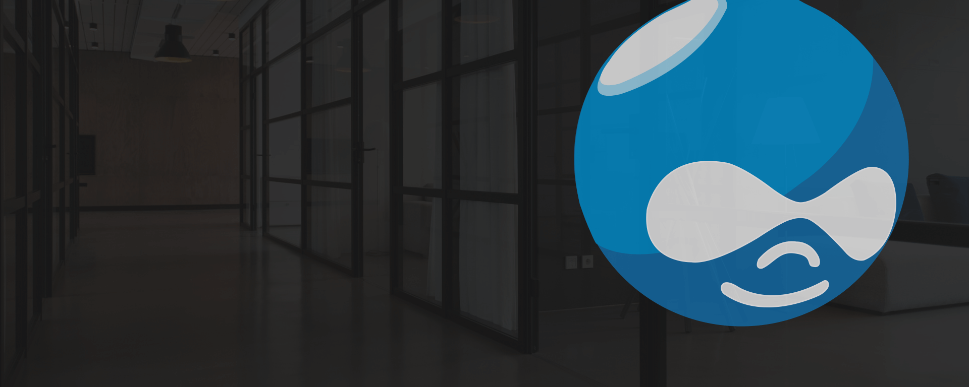 Reliable Drupal Development Company