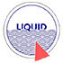 Liquid Theme Development
