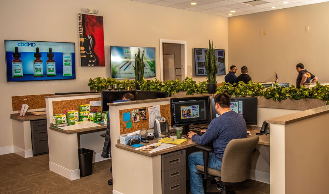 Company Photo Gallery