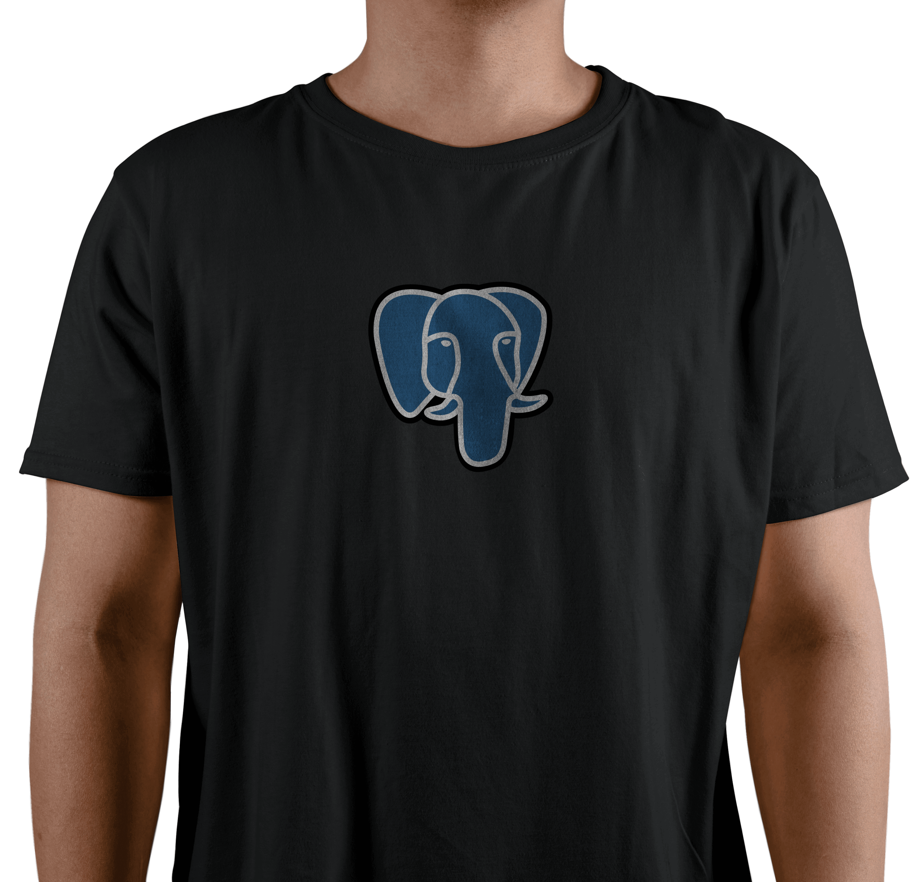 Why Hire PostgreSQL Developers for Your Firm from FasTrax Infotech?    